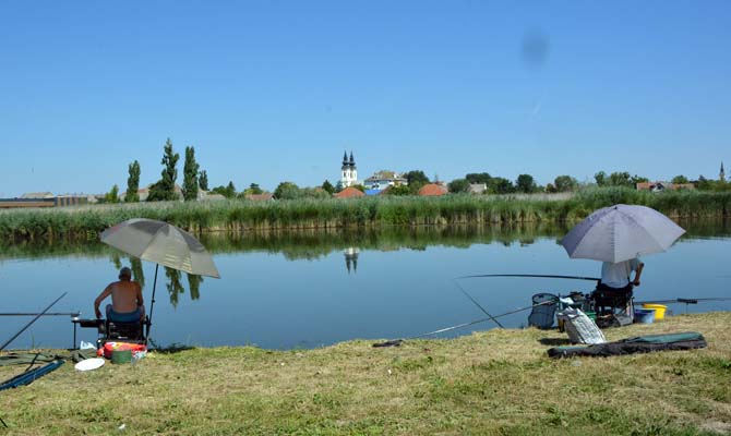 Petrovdani Horgászverseny képek 2016. július 10.